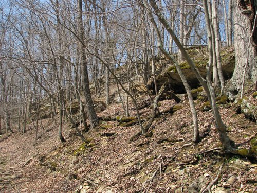 Property photo 29 - 137 Acres in 2 Tracts - 64 Tillable Acres, Potential Building Sites, Hunting